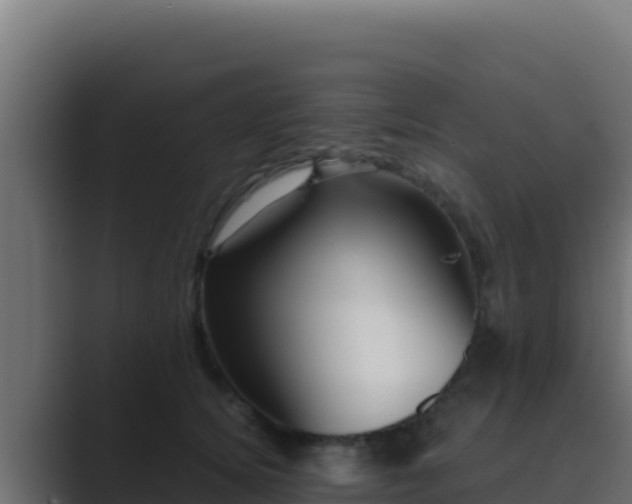 X0000089690756200706281415