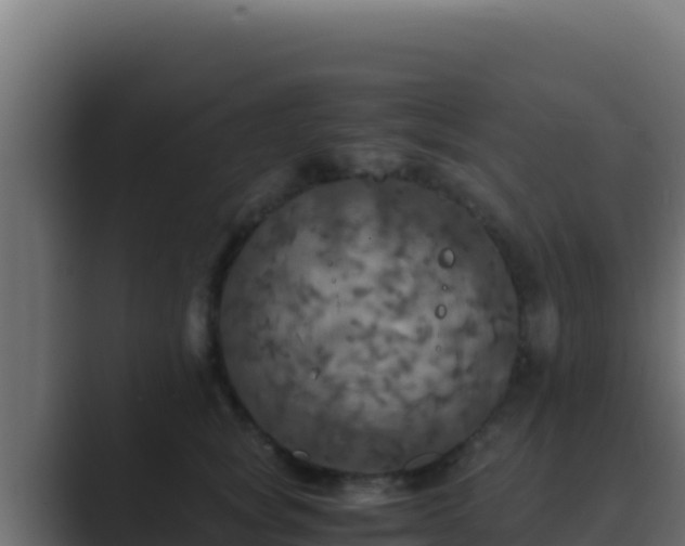 X0000089690757200706281415