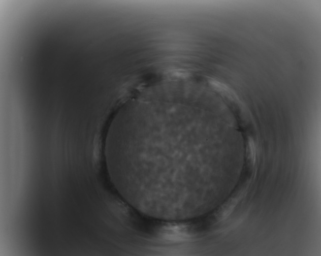 X0000089690760200706281415