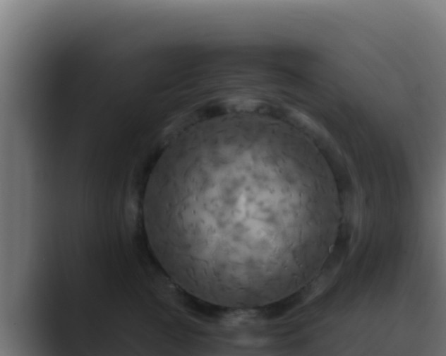 X0000089690761200706281415