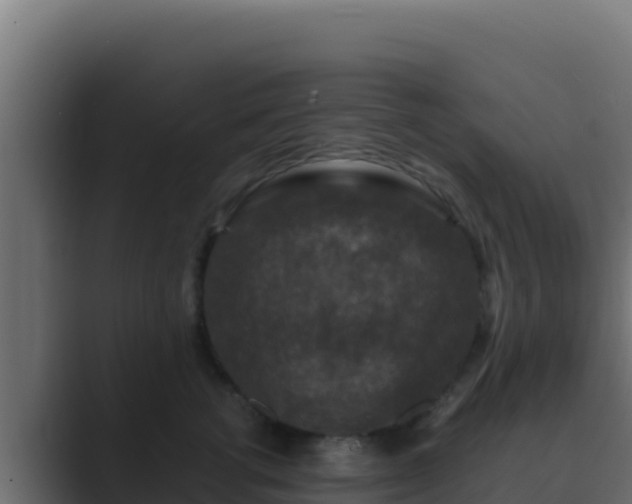 X0000089690762200706281415