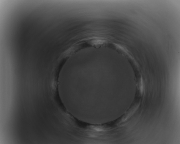 X0000089690763200706281415