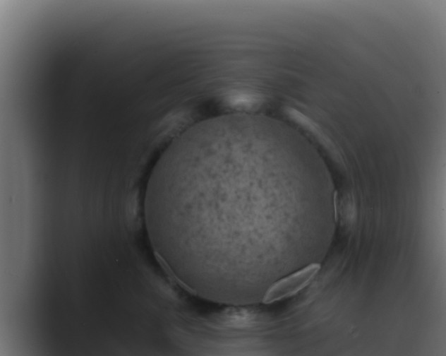 X0000089690764200706281415