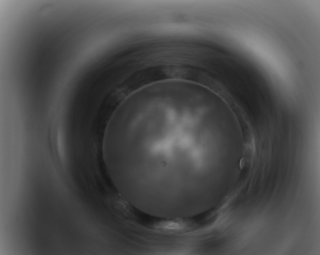 X0000089690765200706281415