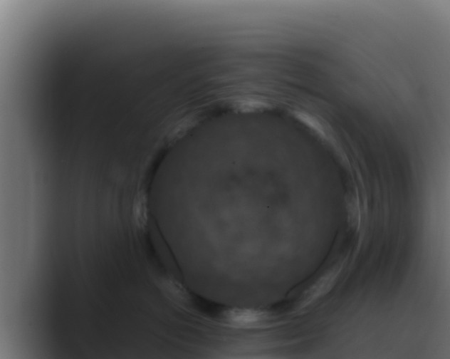 X0000089690766200706281415