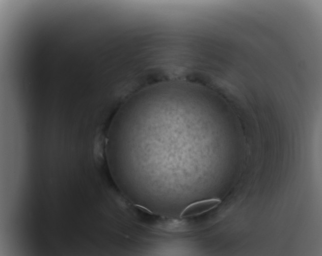 X0000089690768200706281415