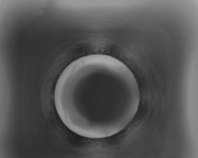 X0000089690769200706281415