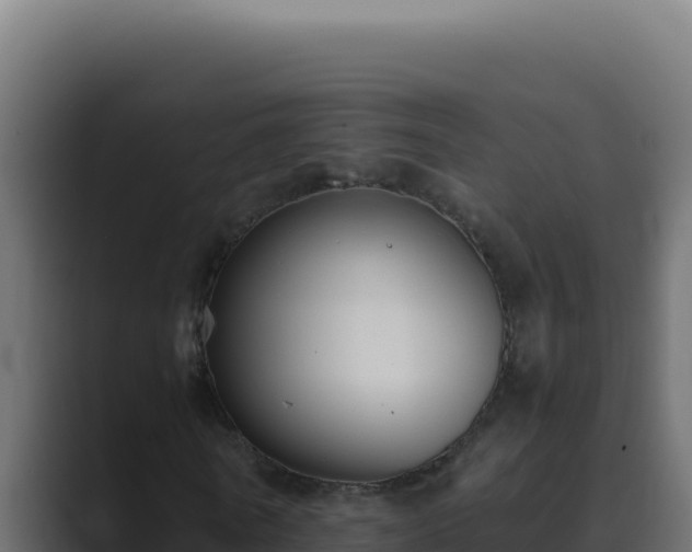 X0000089690770200706281415