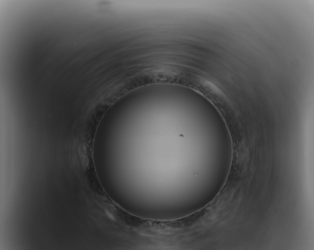 X0000089690774200706281415