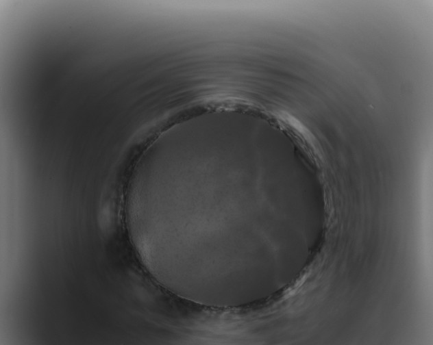 X0000089690775200706281415