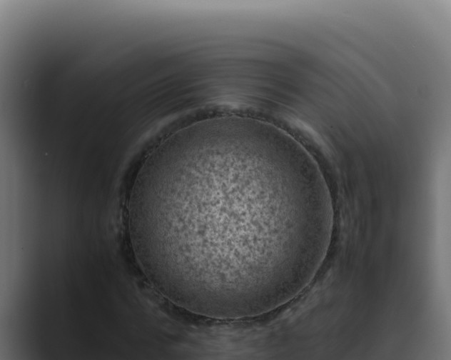 X0000089690776200706281415