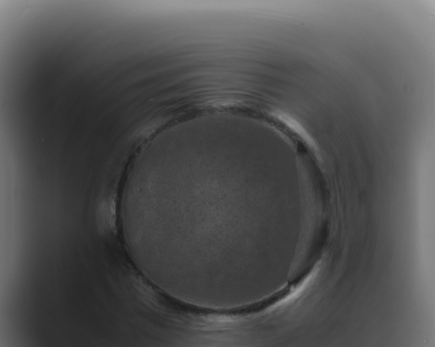 X0000089690777200706281415