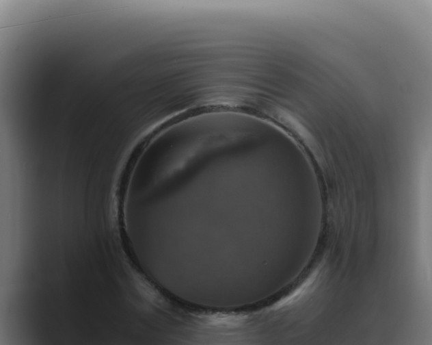 X0000089690779200706281415