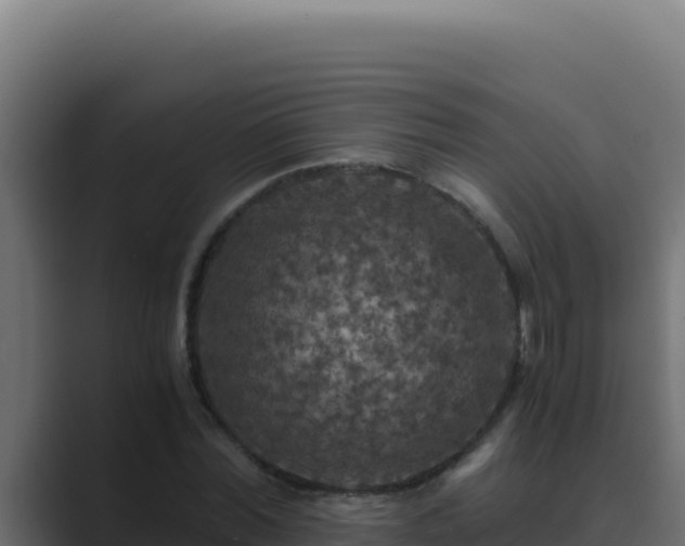 X0000089690780200706281415