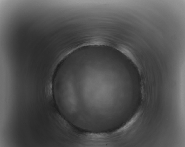 X0000089690781200706281415