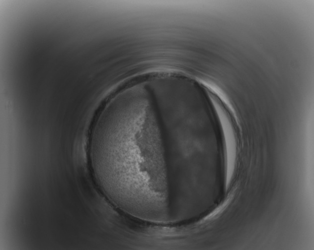 X0000089690783200706281415