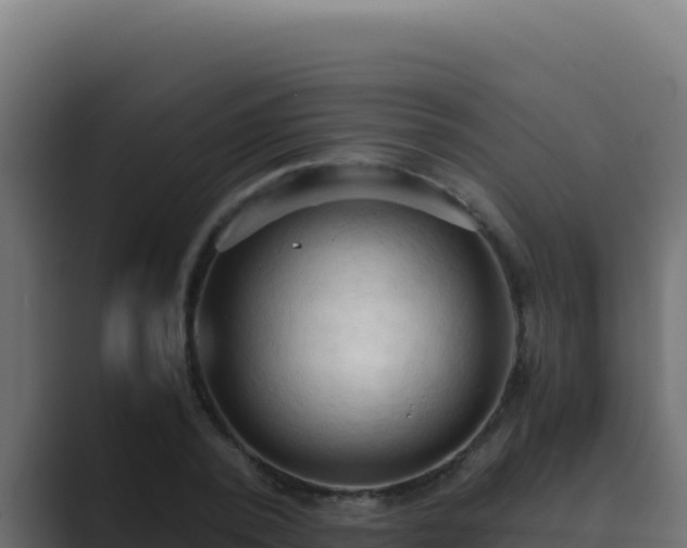 X0000089690784200706281415