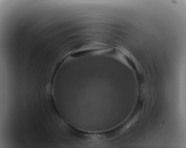 X0000089690785200706281415