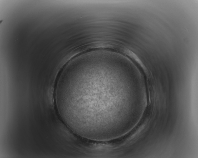 X0000089690786200706281415