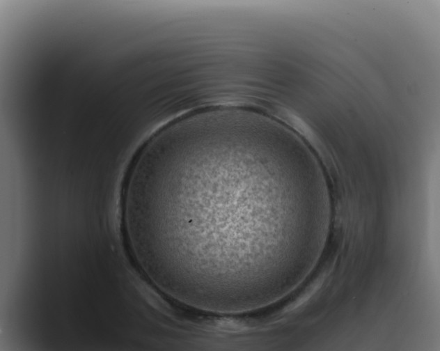 X0000089690787200706281415