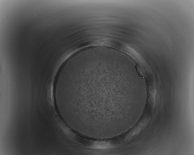 X0000089690788200706281415