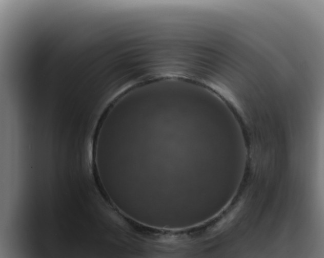 X0000089690790200706281415