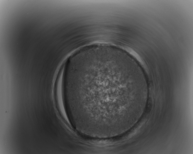 X0000089690791200706281415