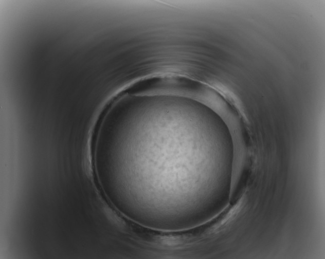 X0000089690792200706281415