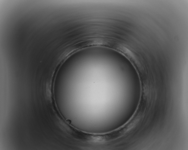 X0000089690794200706281415