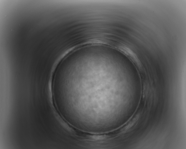 X0000089690796200706281415