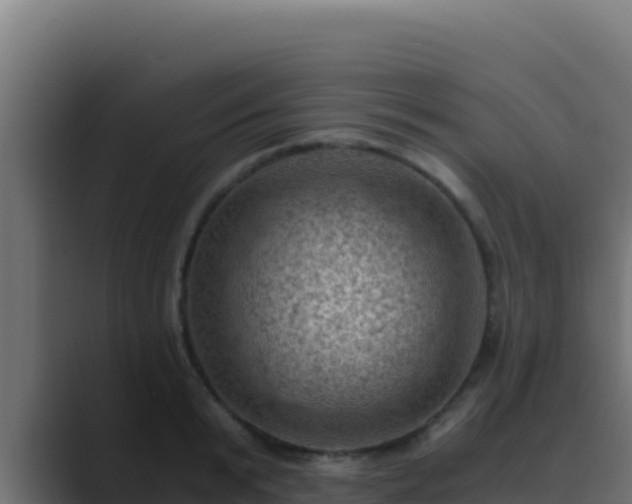 X0000089690799200706281415