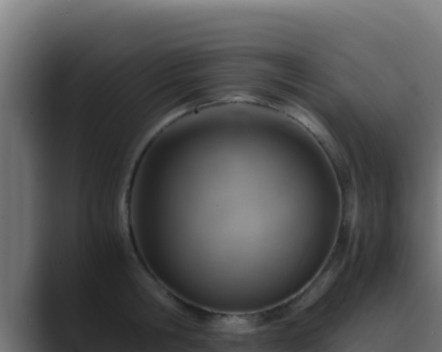 X0000089690806200706281415