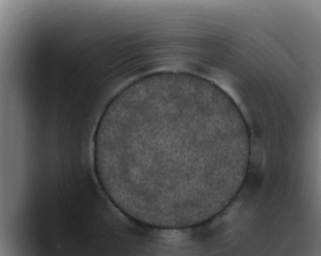 X0000089690807200706281414