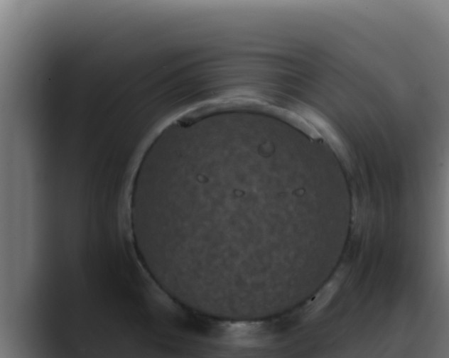 X0000089690808200706281414