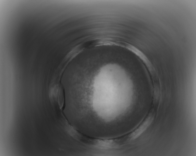 X0000089690809200706281414