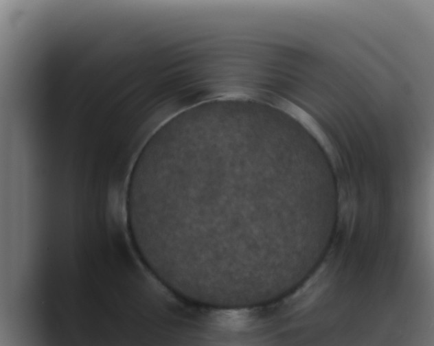 X0000089690810200706281414