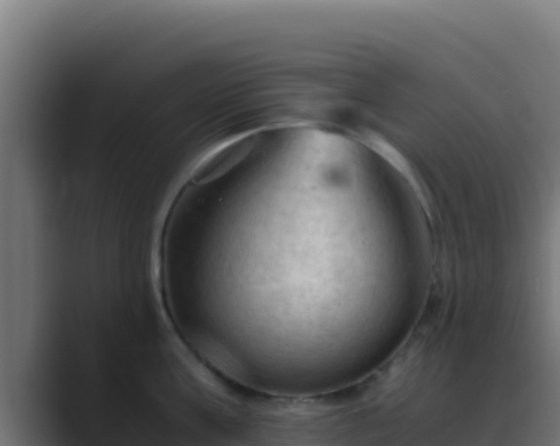 X0000089690811200706281414