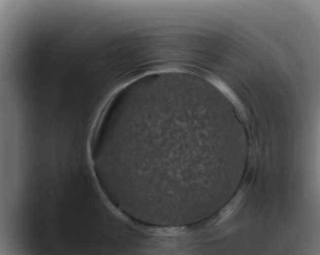 X0000089690813200706281414