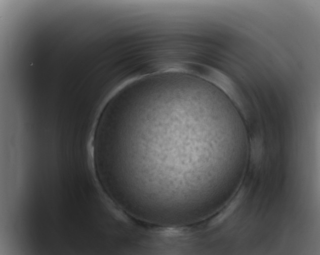 X0000089690814200706281414