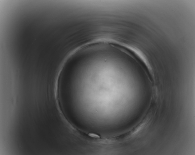 X0000089690815200706281414