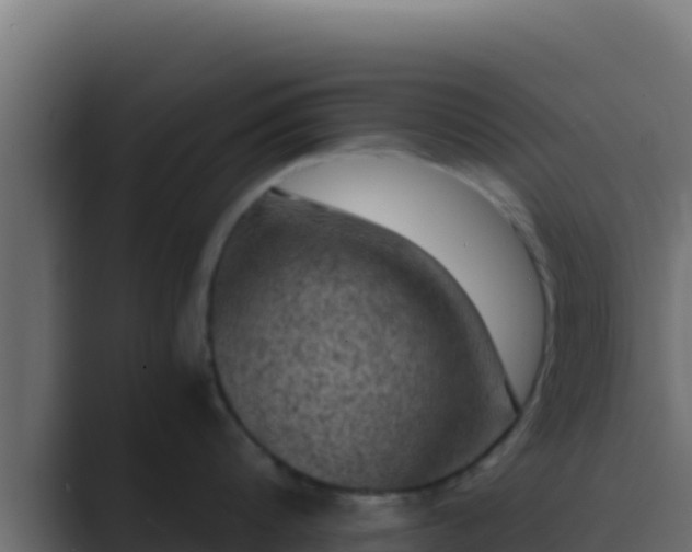 X0000089690816200706281414