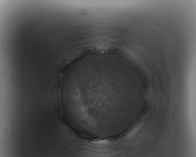 X0000089690818200706281414