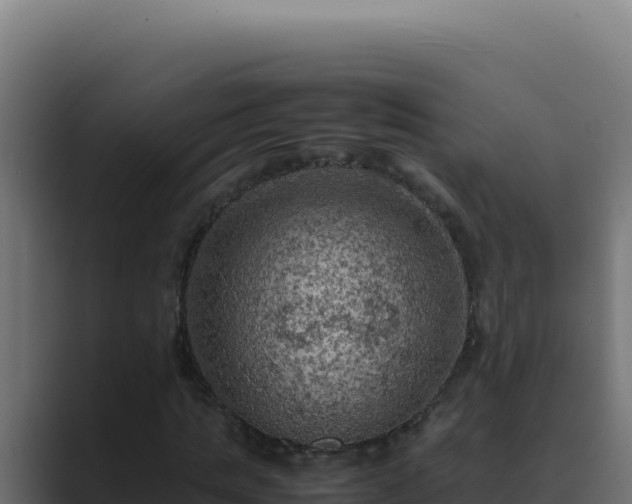 X0000089690821200706281414