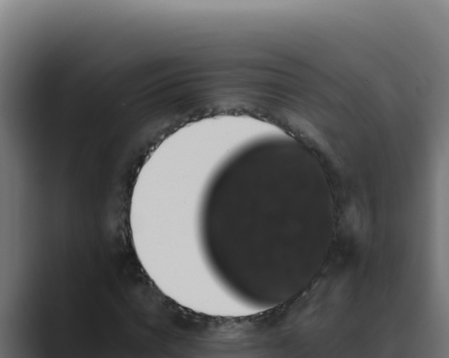 X0000089690824200706281414