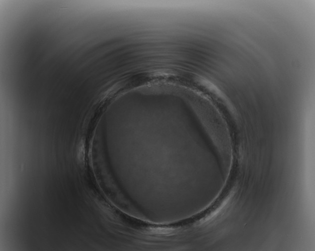 X0000089690825200706281414