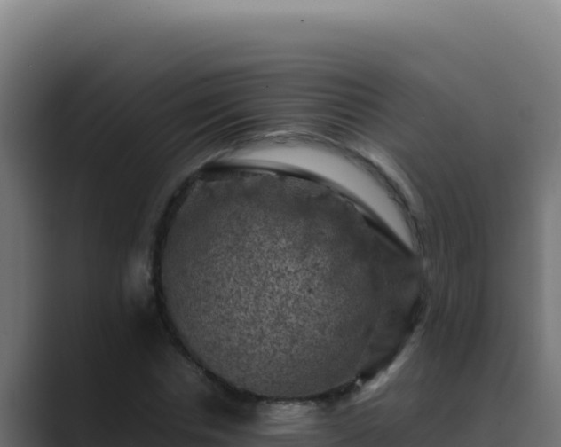 X0000089690826200706281414