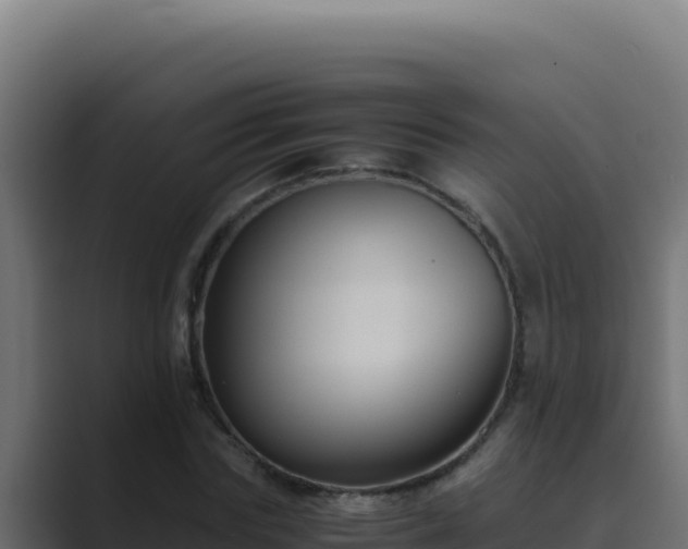 X0000089690827200706281414