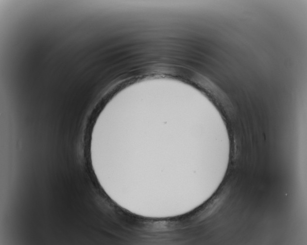 X0000089690828200706281414