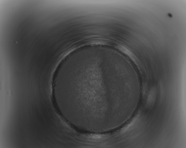 X0000089690829200706281414