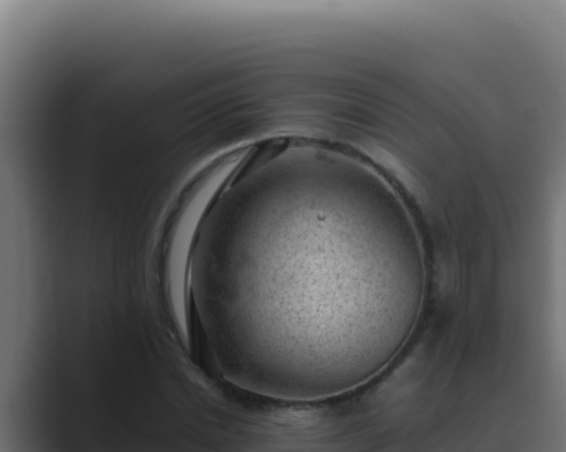 X0000089690830200706281414